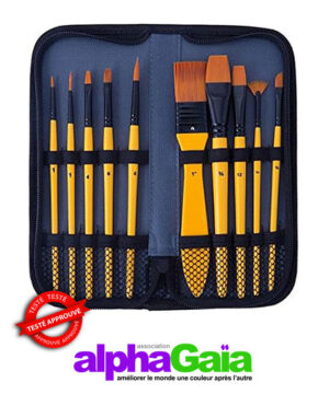 Kit pinceaux PA 11 euros PV 24 euros